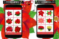 Pointsettia Flowers Color By Number-Pixel Art Screen Shot 5