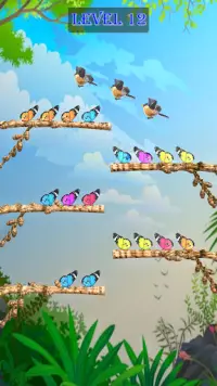 Flying Bird Sorting Puzzle Screen Shot 1
