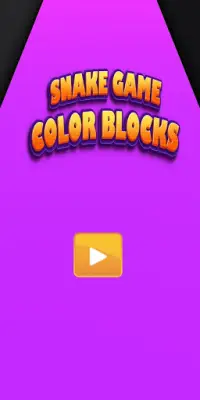 Snake Game Color Blocks Screen Shot 0