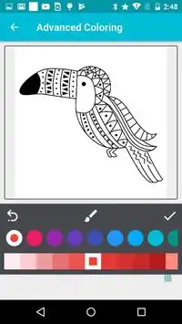 Birds - Learn, Spell, Quiz, Draw, Color and Games Screen Shot 7