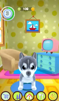 Anak Anjing Bercakap Screen Shot 15