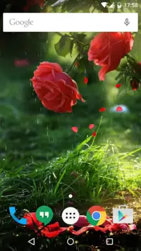 Red Rose Flower Live Wallpaper Screen Shot 5