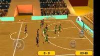 Basketball Sim 3D Screen Shot 0
