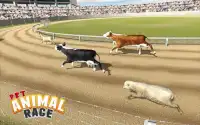 Pet Animals Race Screen Shot 4