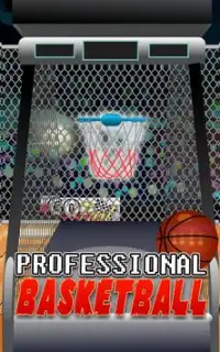 Professional Basketball Screen Shot 1