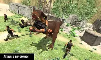 Dino Prison Escape Missions -Jurassic City Rampage Screen Shot 10