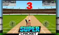 Super Cricket Championship Screen Shot 1