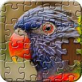 Jigsaw Puzzle: Jeux Puzzles Magiques