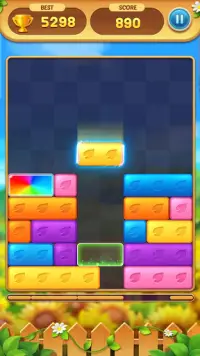 Dropdom - Sliding Block Puzzle Screen Shot 2