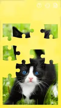 Jigsaw Puzzles Cats Screen Shot 5