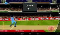 T20 Cricket Blast 2014 Screen Shot 2