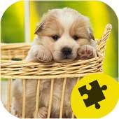 Puppy Dogs Jigsaw Puzzles