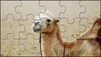 Camel Jigsaw Puzzles Game Screen Shot 3