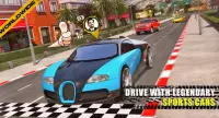 Real Drive Sim Screen Shot 1