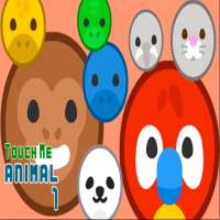 Touch Animal