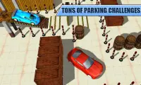 Dr Parking Challenge Car Parking Master Screen Shot 2