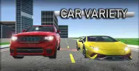 Real World Driver Sim Screen Shot 4