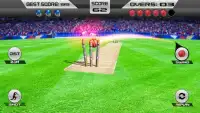 Wicket Hit Juego de Cricket Screen Shot 2