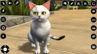 Cat Simulator 3d Animal Life Screen Shot 3