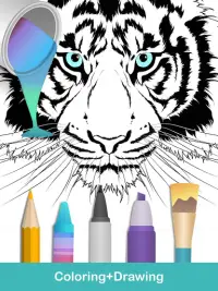 2020 for Animals Coloring Books Screen Shot 8