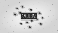 AMOEBAE Screen Shot 0