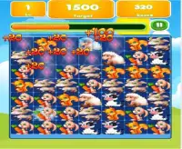 Jungle Pets Pop Screen Shot 2