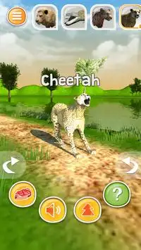 Animal Simulator 3D - Safari Predators Special Screen Shot 5