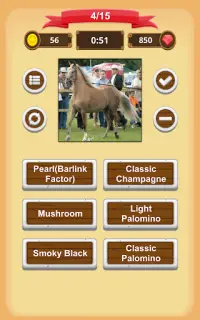 Horse Coat Colors Quiz Screen Shot 13