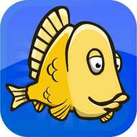 Gorgeous Yellow Fish