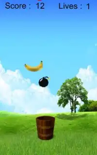 Fruit Bucket Challenge Screen Shot 1