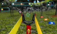 Slingshot Bird Hunt 3D Shooting Range Fun Game Screen Shot 2