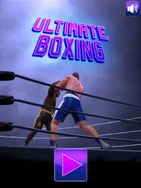 Super Ultimate Boxing Screen Shot 0