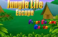 Escape Games - Jungle Life Screen Shot 3