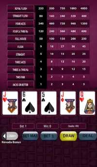 Super Deluxe Video Poker Screen Shot 9