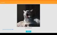 Cat Puzzle Screen Shot 6