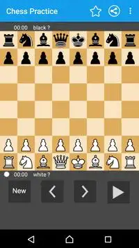 Chess Practice Screen Shot 1