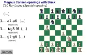 PGN Chess Editor Screen Shot 3