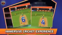 All Star Cricket 2 Screen Shot 3