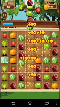 Fruit Link Deluxe Screen Shot 5