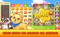 Bingo Pet Rescue Screen Shot 3