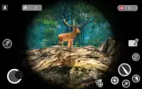 Juegos de caza de ciervos 2018 - juegos de safari Screen Shot 3