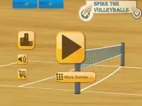 Spike the Volleyballs Screen Shot 4