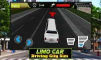 Limo Car Driving City Sim Screen Shot 1