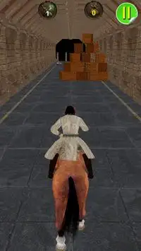 Dungeon Assassin Horse Run 3D Screen Shot 1