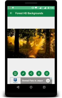 Forest HD Backgrounds Screen Shot 2
