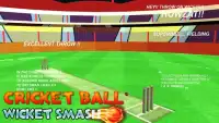 cricket bowling 3d 2017 Screen Shot 3