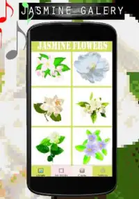 Jasmine Flowers Color By Number-Pixel Art Screen Shot 3