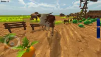 Horse Simulator 3D Screen Shot 1