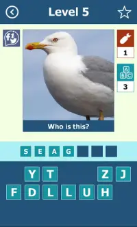 Birds: Quiz Screen Shot 3