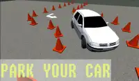 3D Car Parking Screen Shot 0